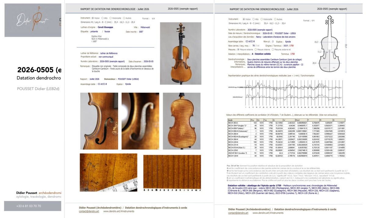Exemple de rapport associant photographies et courbes dendrochronologiques