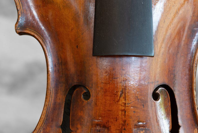 Examen des cernes du bois d’un instrument à cordes